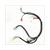 WIRING HARNESS  DJJD CASHMERE 50CC EFI EURO 4