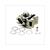 CILINDER MINARELLI 4T LC COMPLEET 50cc