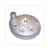 .ZYLINDERKOPF AIRSAL MORINI LC 41.0mm 