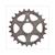 PIGNONS TOMOS A35  (AKW YOUNGSTER)  24t 